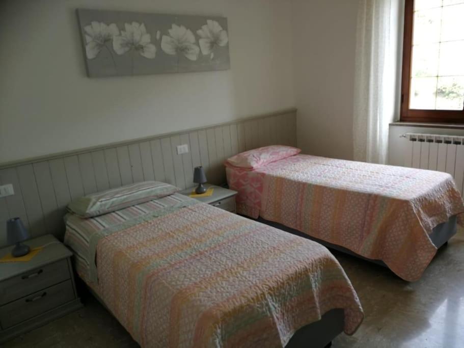 I Chechin - Homy 5 Terre Apartment โวลัสตรา ภายนอก รูปภาพ
